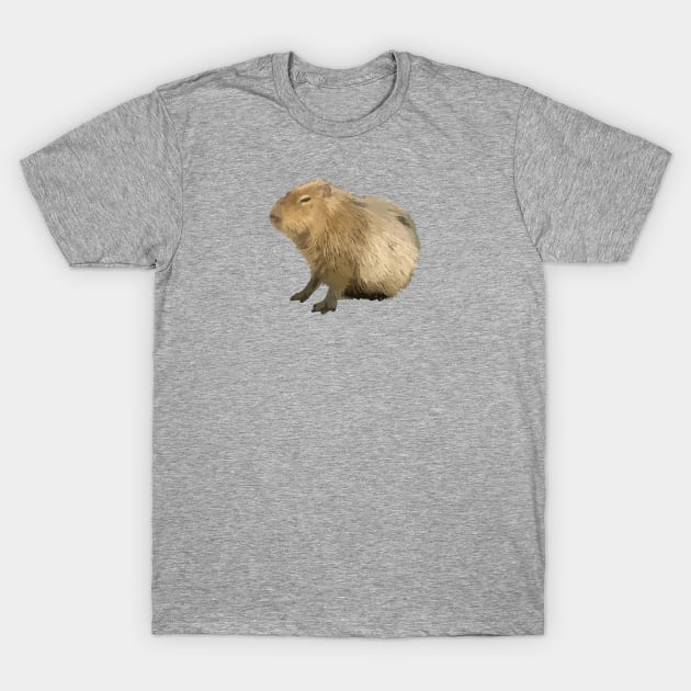 Cute capybara T-Shirt by ballooonfish